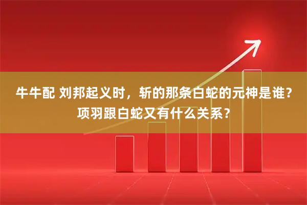 牛牛配 刘邦起义时，斩的那条白蛇的元神是谁？项羽跟白蛇又有什么关系？